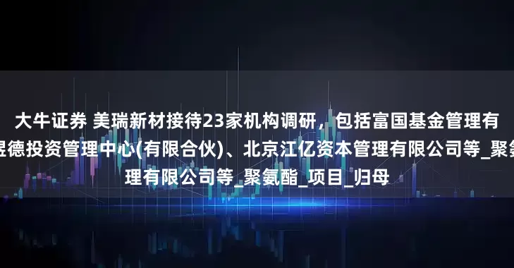 大牛证券 美瑞新材接待23家机构调研，包括富国基金管理有限公司、上海煜德投资管理中心(有限合伙)、北京江亿资本管理有限公司等_聚氨酯_项目_归母