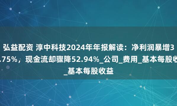 弘益配资 淳中科技2024年年报解读：净利润暴增390.75%，现金流却骤降52.94%_公司_费用_基本每股收益